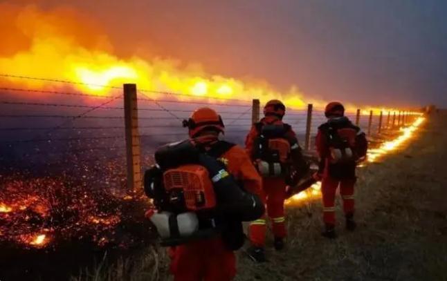 嚴(yán)防森林火災(zāi),守牢紅線底線