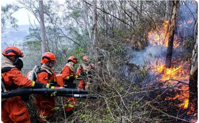 云南玉溪森林發(fā)生明火,現(xiàn)已經撲滅