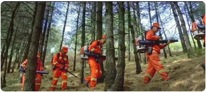 全市森林草原防火期結(jié)束，嵩明持續(xù)筑牢森林“防火墻”