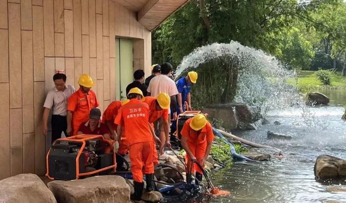 實戰(zhàn)演練，筑牢防汛防臺安全底線